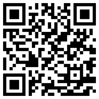 熊猫word模板手机版下载苹果版本