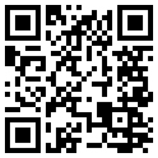 一飞冲天的猪仔免费下载安装