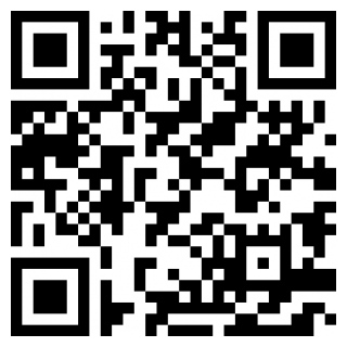 闪烁之光私人版苹果下载手机版