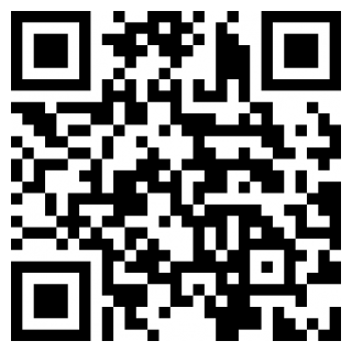 边境检查官苹果版手机版