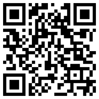 飞行集团免费版ios版