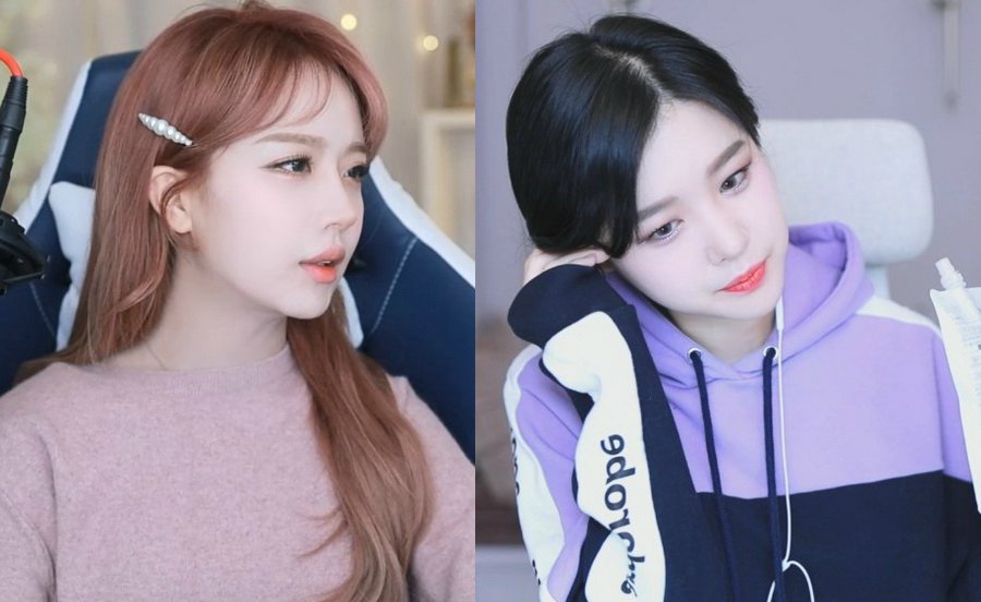 丝瓜草莓奶茶芭乐向日葵鸭脖！一款海量视频的播放软件