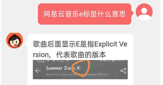 ​网易云：音乐e标代表了什么含义
