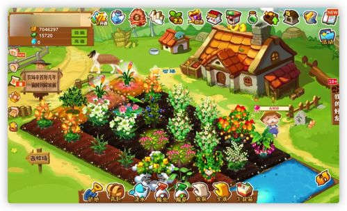 微信农场：设置方法介绍