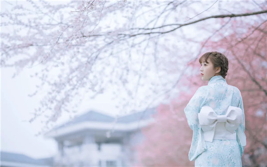 在线天堂中文最新版www网，满足众多用户需求