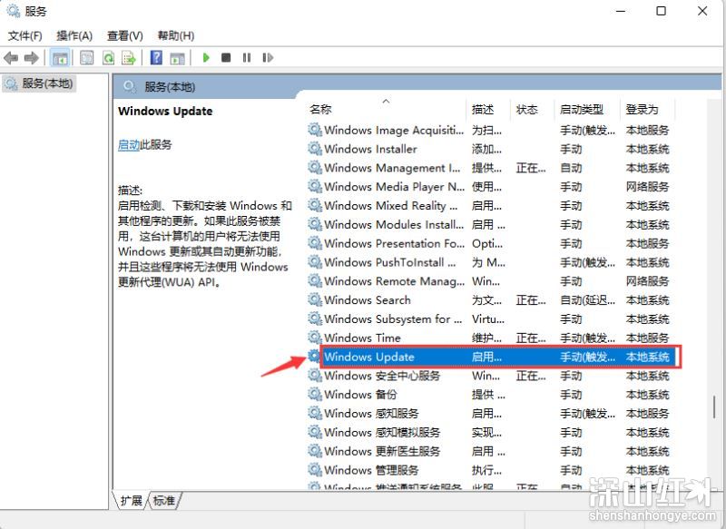 windows11系统更新怎么关闭