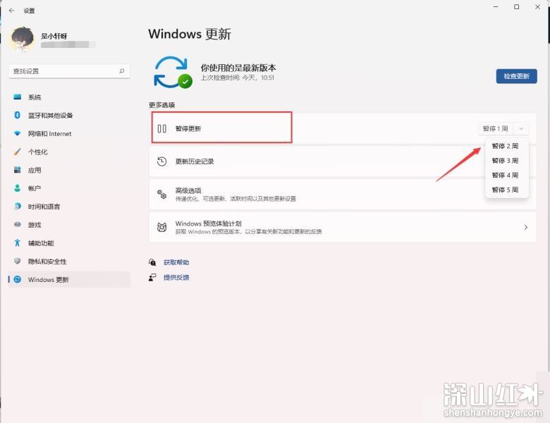 停止windows11更新方法