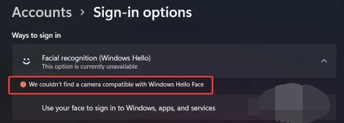 windows11设置不了脸部识别怎么办