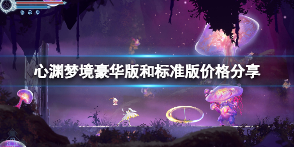 心渊梦境豪华版和标准版价格分享