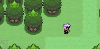 口袋妖怪漆黑的魅影金手指代码大全