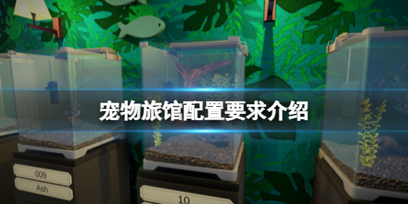 宠物旅馆配置要求高吗