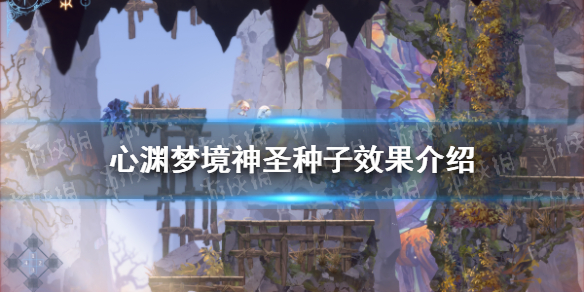 心渊梦境神圣种子有什么用