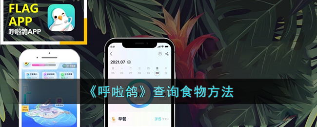 呼啦鸽查询食物方法