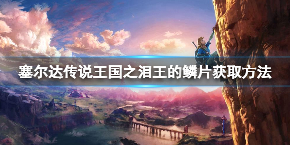 塞尔达传说王国之泪王的鳞片怎么获得