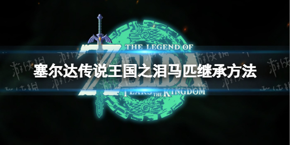 塞尔达传说王国之泪马怎么继承