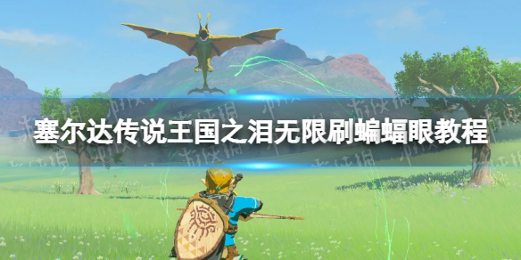 塞尔达传说王国之泪无限刷蝙蝠眼教程