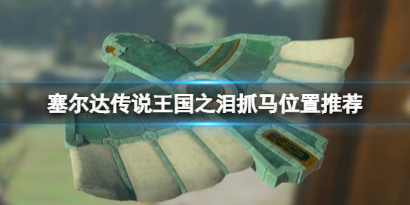 塞尔达传说王国之泪哪里抓马好