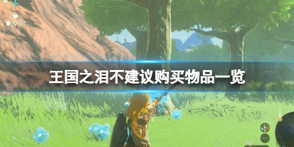 塞尔达传说王国之泪哪些材料不建议买