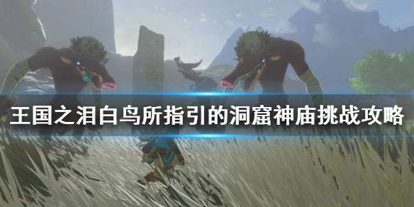 塞尔达传说王国之泪白鸟所指引的洞窟神庙挑战攻略