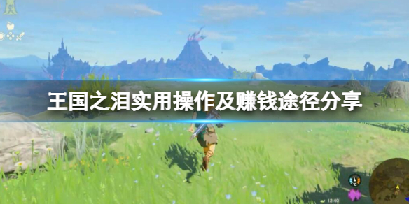 塞尔达传说王国之泪赚钱方法有哪些