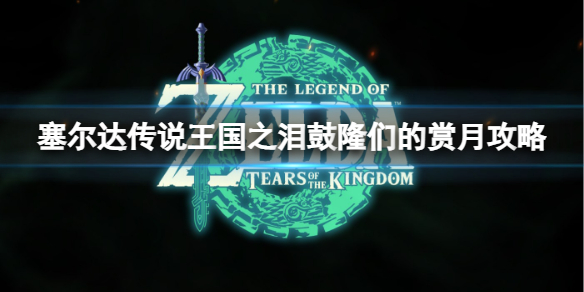 塞尔达传说王国之泪鼓隆们的赏月在哪里