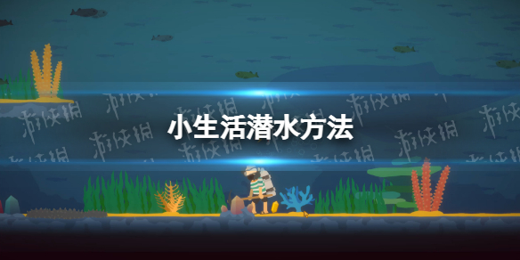 小生活怎么潜水