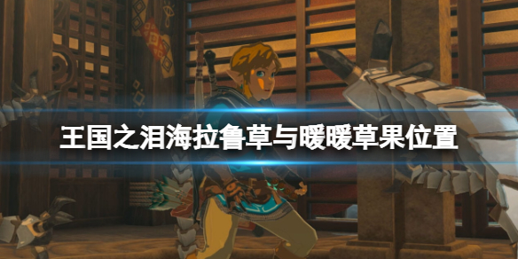 塞尔达传说王国之泪暖暖草果在哪采摘