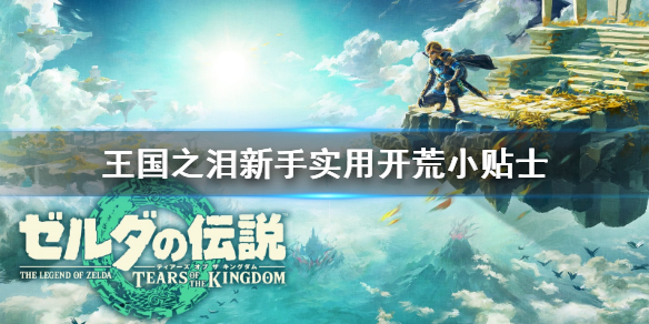 塞尔达传说王国之泪新手实用开荒小贴士