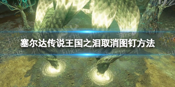 塞尔达传说王国之泪图钉怎么取消