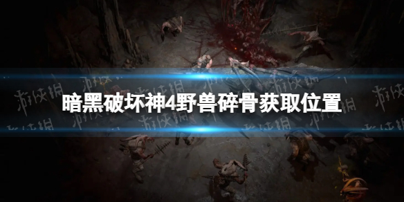 暗黑破坏神4野兽碎骨怎么获得
