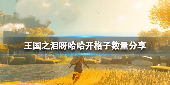 塞尔达传说王国之泪呀哈哈开格子数量分享