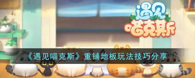 遇见喵克斯重铺地板玩法技巧分享