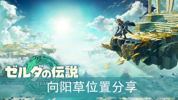 塞尔达传说王国之泪向阳草位置分享