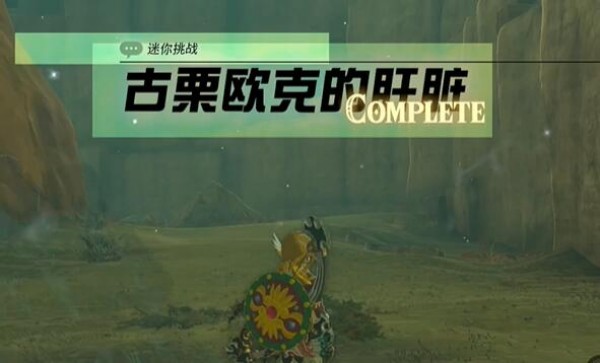 塞尔达传说王国之泪格鲁德地区古栗欧克的肝脏挑战流程分享