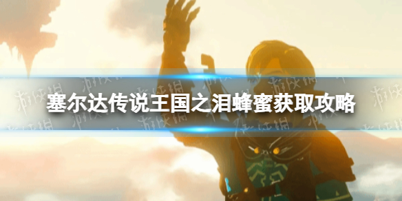 塞尔达传说王国之泪蜂蜜在哪获得