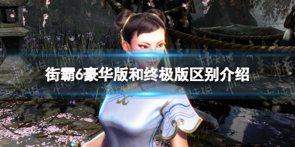 街头霸王6豪华版终极版有什么区别