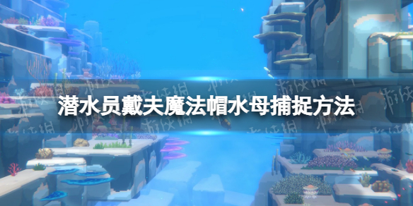 潜水员戴夫魔法帽水母怎么捕捉