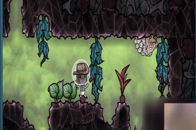 缺氧砖块有什么用