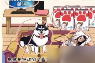 看你怎么秀大学生遛狗攻略