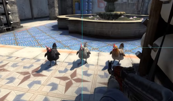 CSGO怎么养鸡 养鸡方法介绍