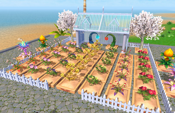 创造与魔法优质耕地种什么 干瘪的种子兑换使用建议