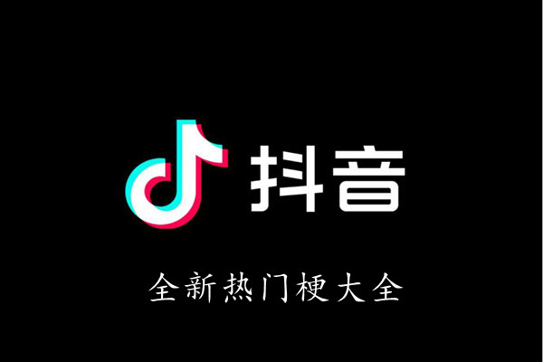 抖音全新热门梗大全