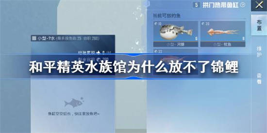 和平精英水族馆为什么有些鱼不能放