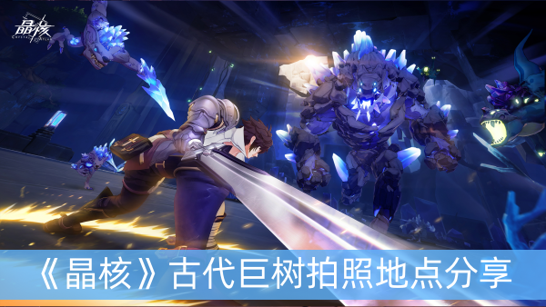 晶核古代巨树拍照地点分享