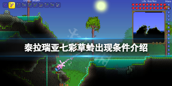 泰拉瑞亚七彩草蛉出现条件 七彩草蛉出现时间