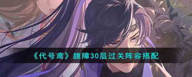 代号鸢臆障30层过关阵容搭配