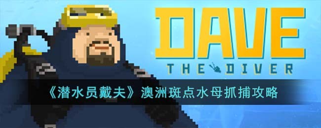 潜水员戴夫澳洲斑点水母抓捕攻略