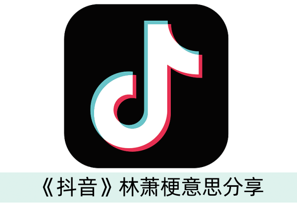 抖音林萧梗意思分享