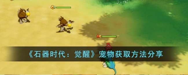 石器时代觉醒宠物获取方法分享