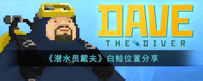 潜水员戴夫白鲸位置分享